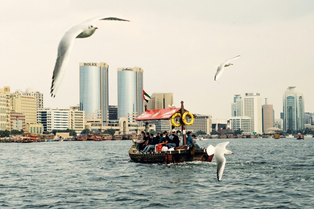 white bird flying over the sea during daytime