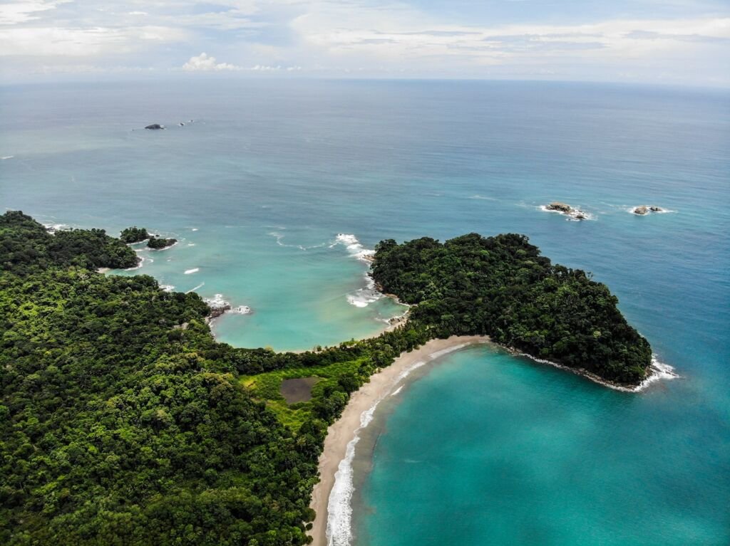 green trees beside blue sea